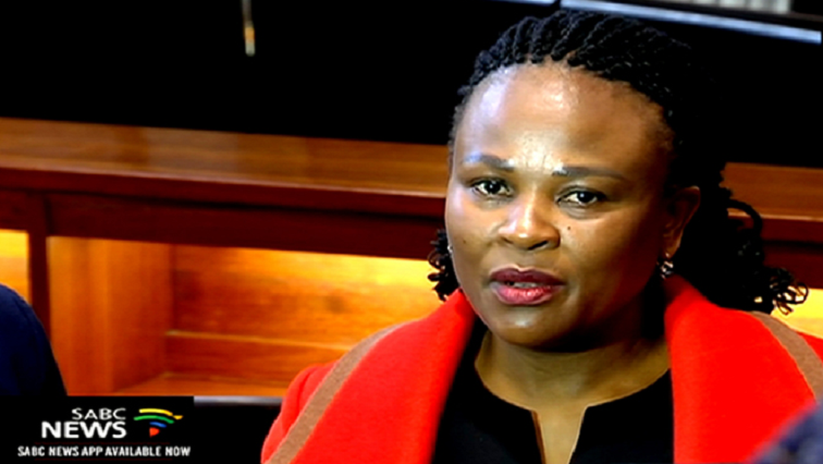 The panel was appointed after the Public Protector suffered a series of negative findings against her by the courts.