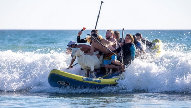 California surfer Dana McGregor has always loved the thrill of catching a wave, but it wasn't until he took his pet goat surfing with him one day that he truly found his calling.