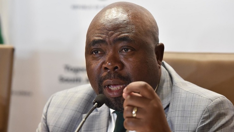 Minister Thulas Nxesi addresses a media conference