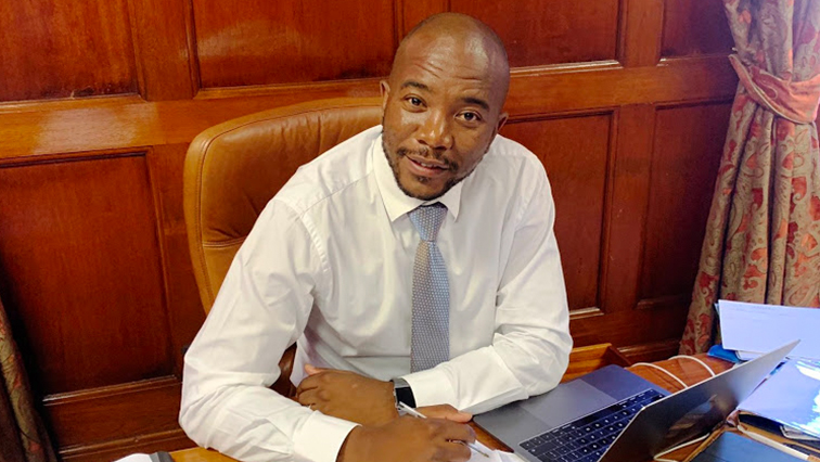 Maimane has slammed Leon on social media over the experiment gone wrong comments.