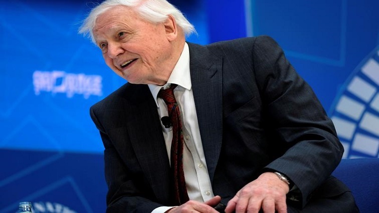 David Attenborough, 95, the world's most influential wildlife broadcaster.