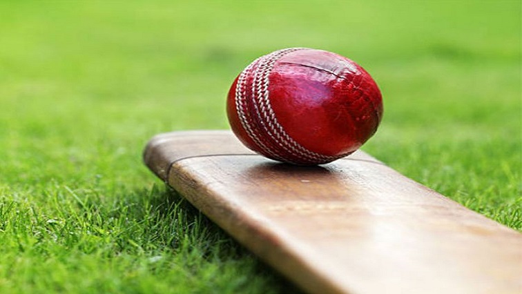 Cricket ball and bat seen on a pitch