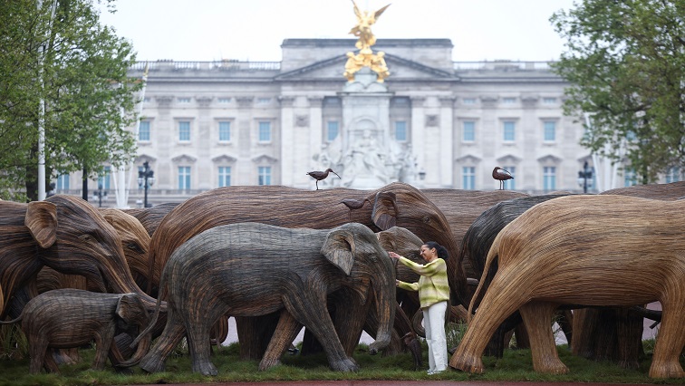 SABC News Life size Elephant exhebition London Reuters