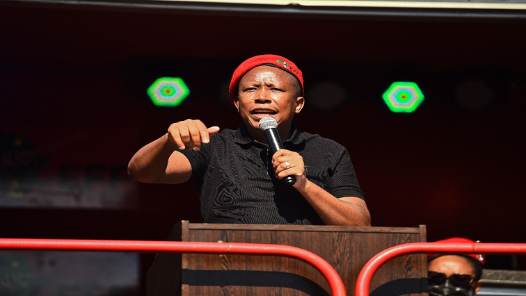 Malema was speaking at Hoërskool Uitsig in Centurion, Pretoria, where the party marked Youth Day.