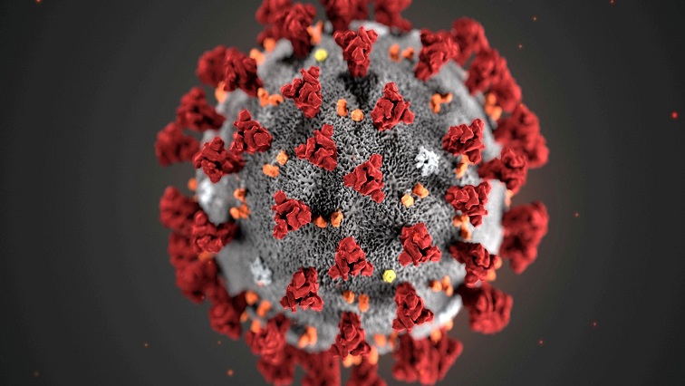 Illustration of a virus.