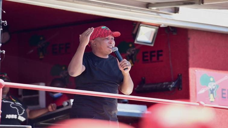 [File Image] Economic Freedom Fighters (EFF) leader Julius Malema addressing community members in the North West.