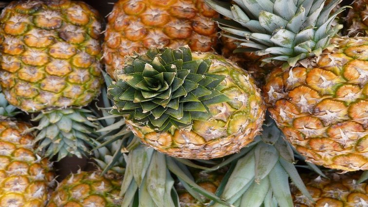 A file image of pineapples.
