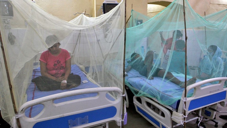 Kasus demam berdarah meningkat tajam di India utara – SABC News
