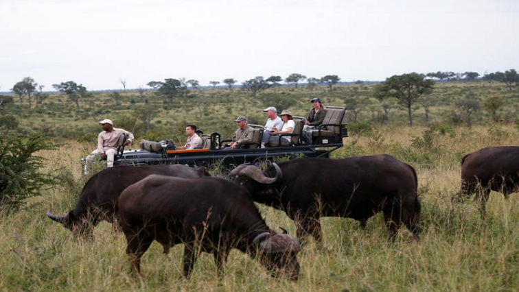 Taman Nasional Kruger mendesak pengunjung untuk memesan secara online atau melalui telepon – SABC News