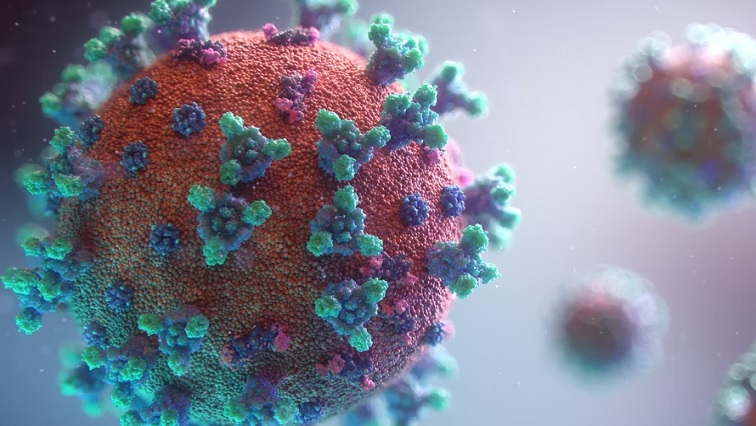 Perburuan varian virus corona: bagaimana yang baru ditemukan dan apa yang kita ketahui sejauh ini – SABC News