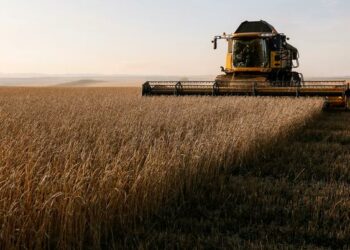 A combine harvests wheat in a field of the Solgonskoye private farm outside the Siberian village of Talniki in Krasnoyarsk region, Russia September 7, 2018.