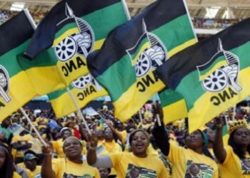 ANC members holding the party's flags.