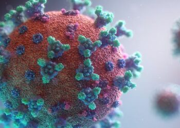 A microscopic view of the coronavirus.