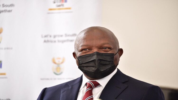 Deputy President David Mabuza is pictured wearing a mask.
