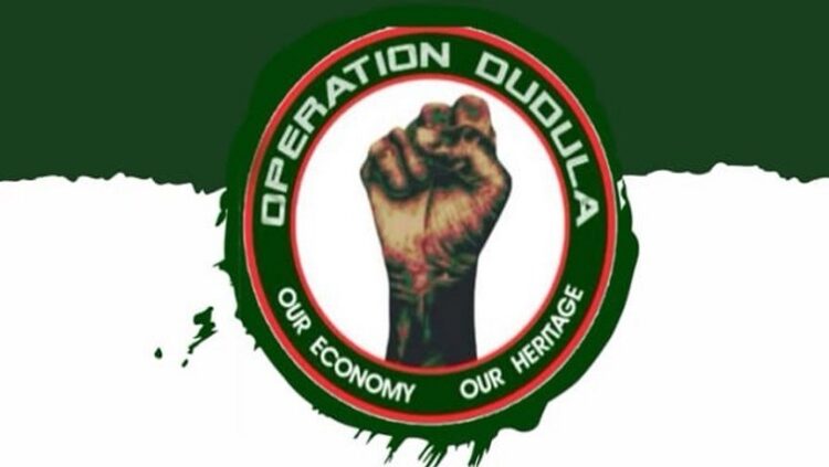 Operation Dudula logo
