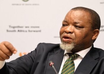 (File Image) Mineral Resources and Energy Minister Gwede Mantashe briefing media,  February 20, 2020.