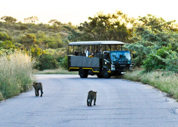 [File Image] People on a safari at one of South African National Parks' venues