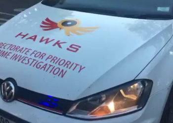 Hawks conduct a raid.
