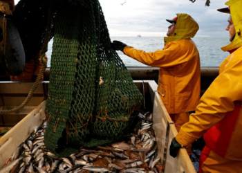 FILE PHOTO: Fishermen empty a fishing net aboard the Boulogne-sur-Mer based trawler "Nicolas Jeremy" in the North Sea, off the coast of northern France, December 7, 2020. REUTERS/Pascal Rossignol/File Photo