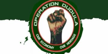Operation Dudula logo.