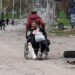 A woman pulls a wheel chair while transporting an injured man in a street in the course of Ukraine-Russia conflict in the southern port city of Mariupol, Ukraine April 18, 2022.