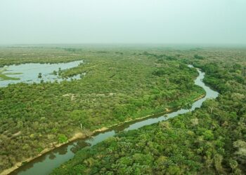 General view of the W National Park in northern Benin April 21, 2019.
