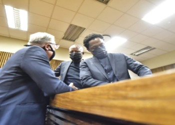 EFF MP Mbuyiseni Ndlozi and Party leader Julius Malema in court.
