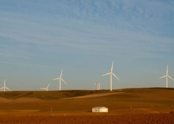 Wind turbines produce renewable energy outside Caledon, South Africa, May 20, 2020.