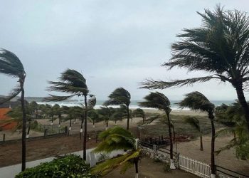 Palm trees sway in the wind as Hurricane Agatha pounds the southern coast of Mexico, in Puerto Escondido, Oaxaca state, Mexico, May 30, 2022.