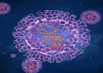Pox virus illustration