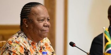 Minister Naledi Pandor in engagement with her Egyptian counterpart
