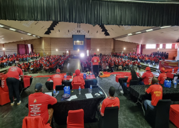 Saftu holds rally in celebration of Workers Day.