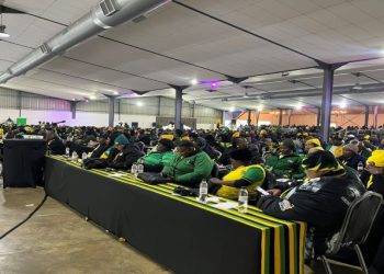Delegates sitting at the ANC Gauteng elective conference