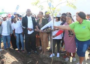 Trees  planted to commemorate World Environment Day at Blue Lagoon in KZN.