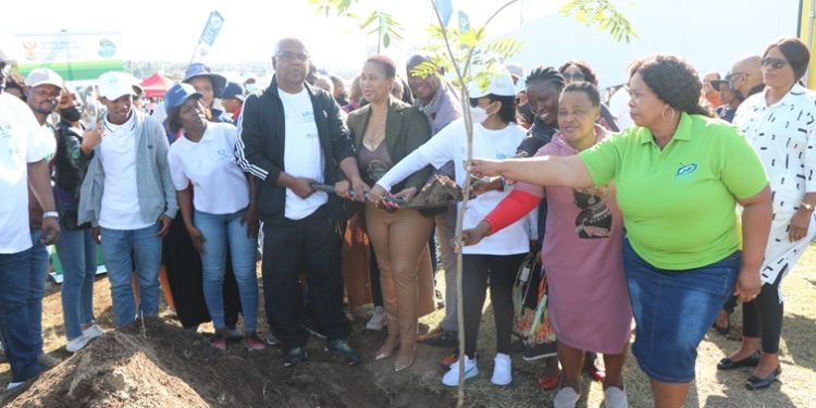 Trees  planted to commemorate World Environment Day at Blue Lagoon in KZN.