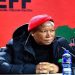 EFF leader Julius Malema speaks during a media briefing in Johannesburg.
