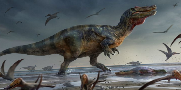 Artist's illustration shows a large meat-eating dinosaur dubbed the "White Rock spinosaurid," whose remains dating from about 125 million years ago during the Cretaceous Period were unearthed on England's Isle of Wight.