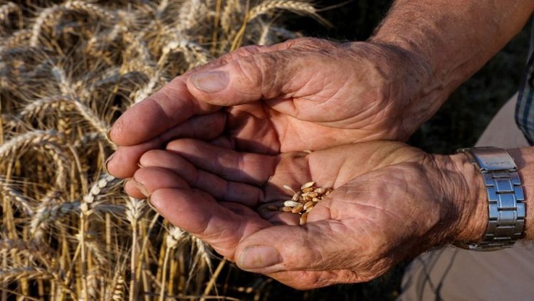 The International Monetary Fund has said that about 30 countries have restricted exports of food, energy and other commodities, including India with wheat.
