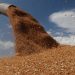 Ukraine has warned that it faces a shortage of silos for a new grain crop.