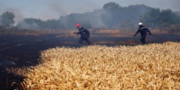 Fire is badly damaging Tunisia's grain harvest.