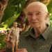 A handout picture shows primatologist Jane Goodall posing with the new Jane Goodall Barbie doll, in Los Angeles, U.S., April 2022.