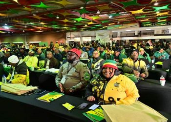ANC members at the 6th National Policy Conference convened under the theme: ‘The Year of Unity and Renewal to Defend and Advance South Africa’s Democratic Gains’