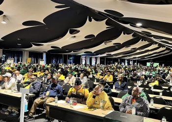 The Gauteng conference elected 30 additional members on Sunday, who now form part of the Provincial Executive Committee.