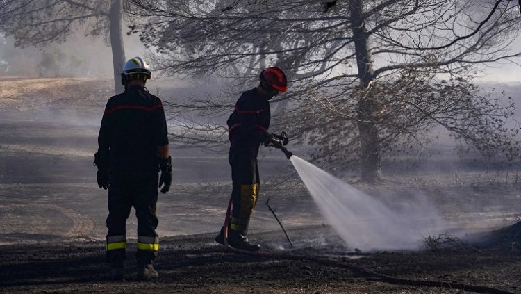 Firefighters extinguish a fire that broke out in Martigues, in the Provence-Alpes-Cote d'Azur region of southern France, July 7, 2022.
