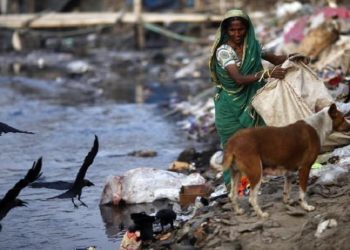 A woman collects garbage from a dump yard near a tannery at Hazaribagh along the polluted Buriganga river in Dhaka.