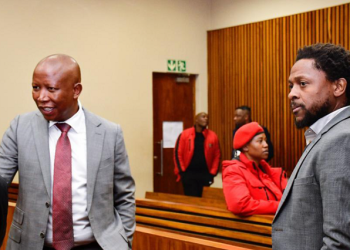 EFF leader Julius Malema and  MP Mbuyiseni Ndlozi appear at the Randburg Magistrate's Court for their assault case.