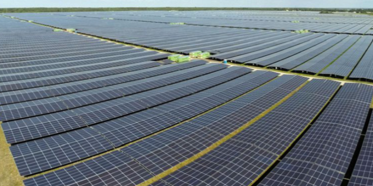 A general view shows solar panels used to produce renewable energy.