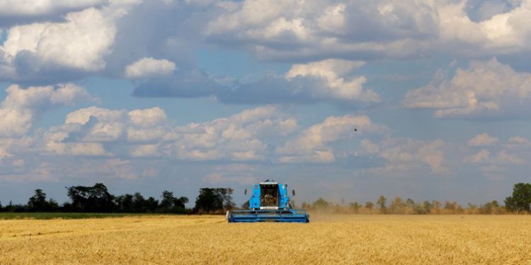 A combine harvests wheat during Ukraine-Russia conflict in the Russia-controlled village of Muzykivka in the Kherson region, Ukraine July 26, 2022. REUTERS/Alexander Ermochenko