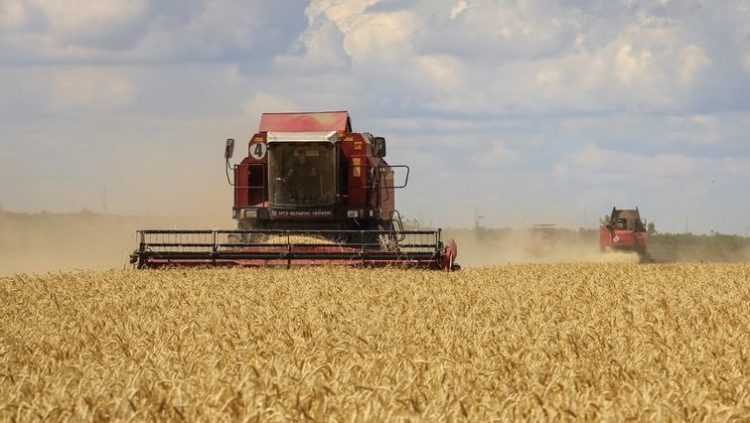 Combines harvest wheat in Russian-held part of Zaporizhzhia region, Ukraine July 23, 2022. REUTERS/Alexander Ermochenko.