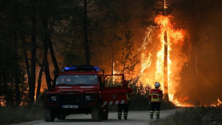 Nearly 900 firefighters were combating three active blazes in Leiria alone, while in the whole of mainland Portugal there were 2 841 firefighters on the ground and 860 vehicles.